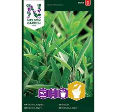 Image result for Salvie