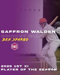 Image result for Saffron Walden Cricket Club
