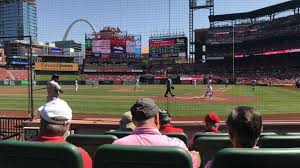 Image result for Cardinals Badminton Club