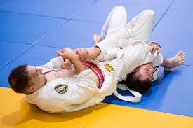 Image result for Reading World Ju-jitsu Club