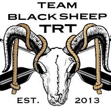 Image result for Teamsheep