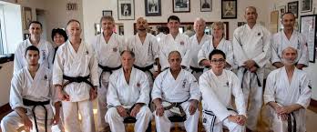 Image result for Everitt Karate Academy