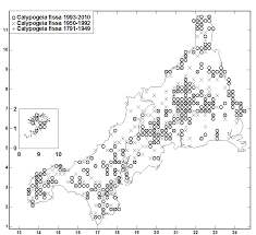 Attēlu rezultāti vaicājumam “Cladopodiella francisci”