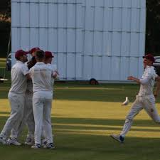 Image result for Torquay Cricket Club