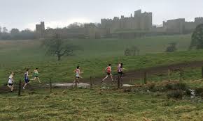 Image result for Alnwick Harriers