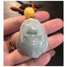 Αποτέλεσμα εικόνας για jade dragon turtle