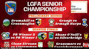 Image result for Silverbridge Harps Gac