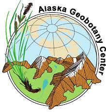 Attēlu rezultāti vaicājumam “Pseudocalliergon turgescens”