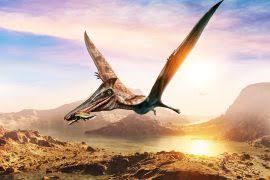 Attēlu rezultāti vaicājumam “Pseudobryum cinclidioides”