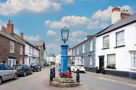 Image result for Chulmleigh & Mid Devon Cricket Club