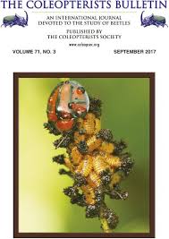 Attēlu rezultāti vaicājumam “Ceruchus chrysomelinus larva”