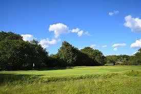 Image result for Wimbledon Common Golf Club
