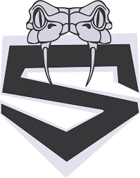 Image result for Sidewinders Baseball Club