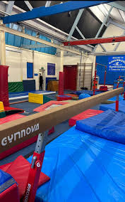 Image result for Swallows Trampoline Club