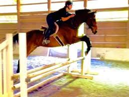 Image result for Weybridge Equestrian Centre