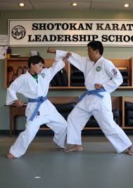 Image result for Shitokai Karate Club