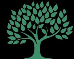 Image result for Phoenix Smbc