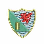 Image result for Maesteg Celtic Athletic & Social Club