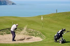 Image result for Cardigan Golf Club