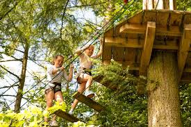 Image result for Go Ape! Dalby
