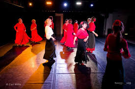 Image result for Flamenco Dance School