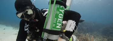 Image result for Headstream Divers