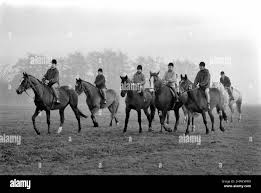 Image result for Bookham Riding School