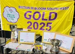 Image result for Castle Cary Cygnets Majorettes