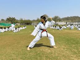 Image result for Ashford School Of Taekwondo
