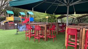 Image result for Woking and Horsell Cricket Club