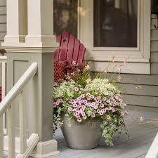 Attēlu rezultāti vaicājumam “Hedera helix  flower”