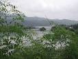 Gapyeong - Wikipedia, the free encyclopedia