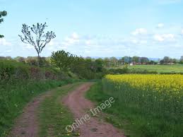 Image result for Nunwick Cc