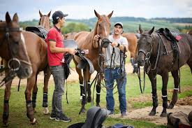 Image result for Cowdray Park Polo Club