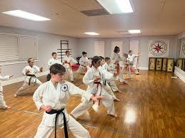 Image result for Alleyn School Of Japanese Karate