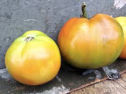 Afbeeldingsresultaat voor carbon tomato