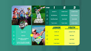 Image result for Hook Norton Junior Cricket Club