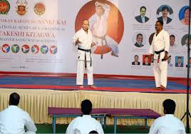 Image result for Nottingham Sankukai Karate