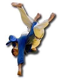 Image result for Universal Martial Arts (Chelmarsh with Neil Morris)