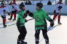 Image result for Walsall Roller Hockey Club