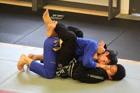 Image result for Devon Brazilian Jiu-Jitsu
