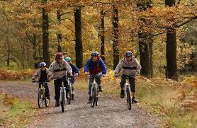 Image result for Chapeltri Co Uk