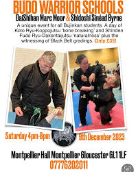 Image result for Budo Warrior Schools