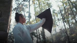 Image result for TRIANGLE CHANGQUAN FLYING DRAGON