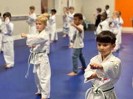Image result for Chang's Hapkido Club
