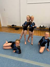Image result for Hinckley Gymnastics Club