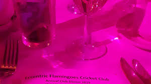 Image result for Flamingo Cricket Club