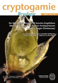 Attēlu rezultāti vaicājumam “Acaulon muticum sporophyte”