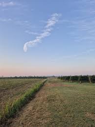 Image result for pheega