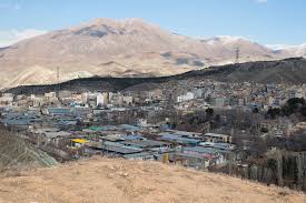 Image result for selvatici tehron